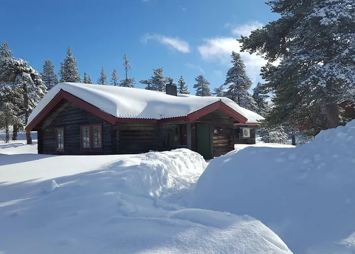 Saelens Bed & Breakfast Apartments